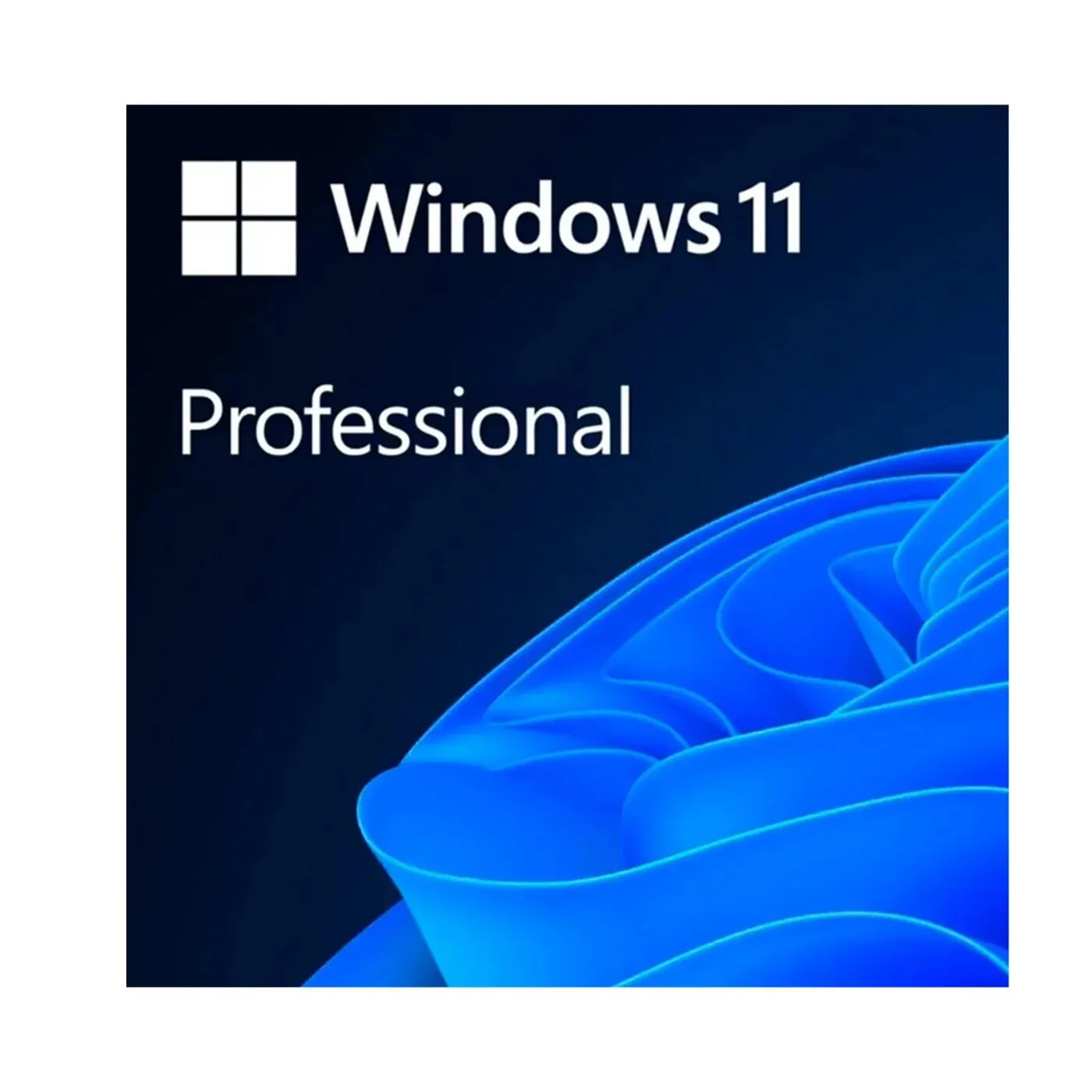 Pin Microsoft Windows Pro FPP 11 64-bit